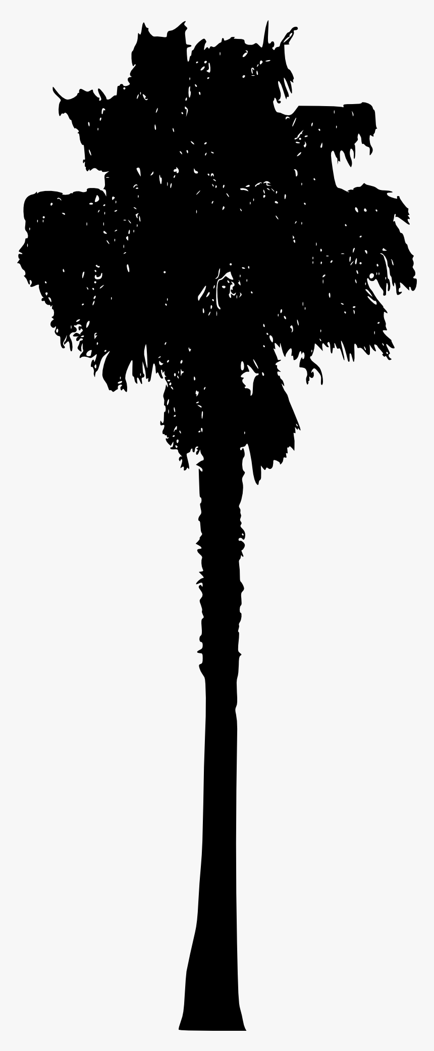 Palm Tree - Silhouette, HD Png Download, Free Download