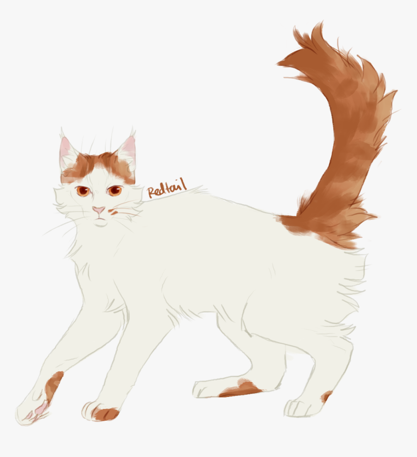 Always Kinda Headcanoned Him A Ginger Turkish Van Which - Turkish Van Cat Drawing, HD Png Download, Free Download