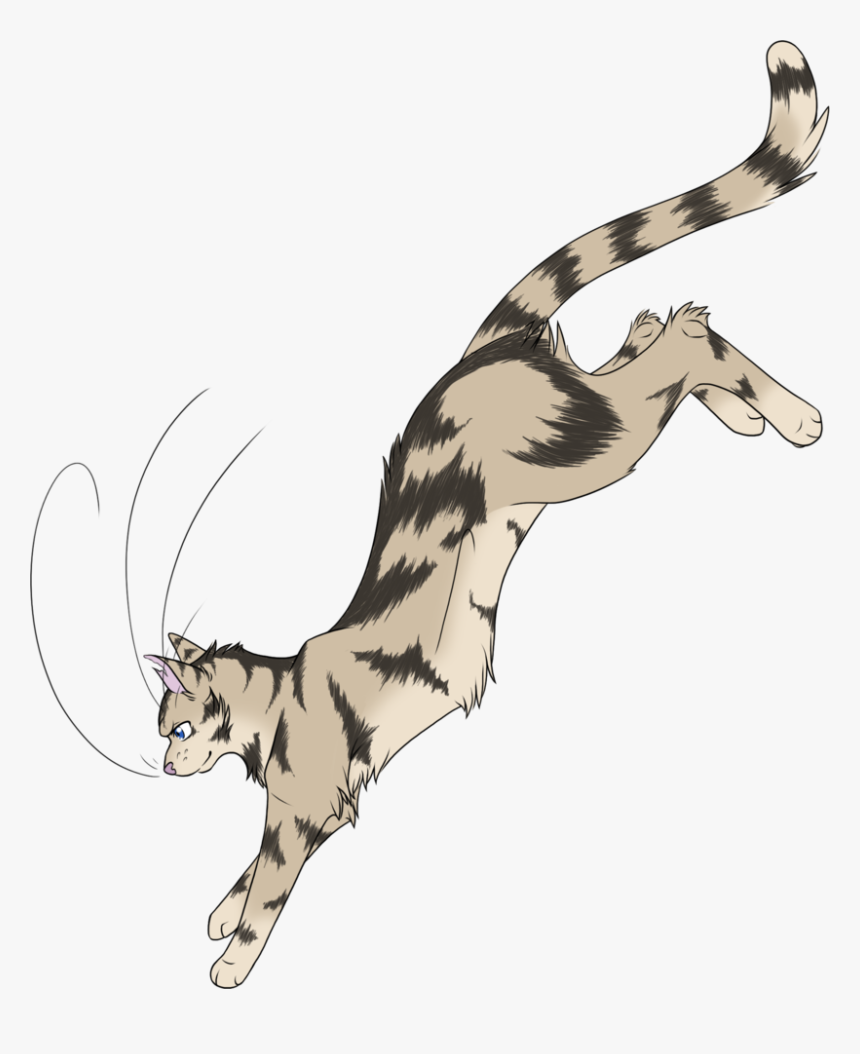 Transparent Jumping Cat Png - Warrior Cats Fan Art, Png Download, Free Download