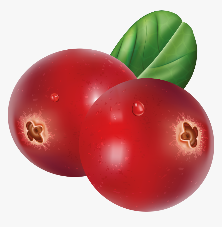 Red Cranberries Transparent Png Clip Art Image​ - Plum Hd, Png Download, Free Download