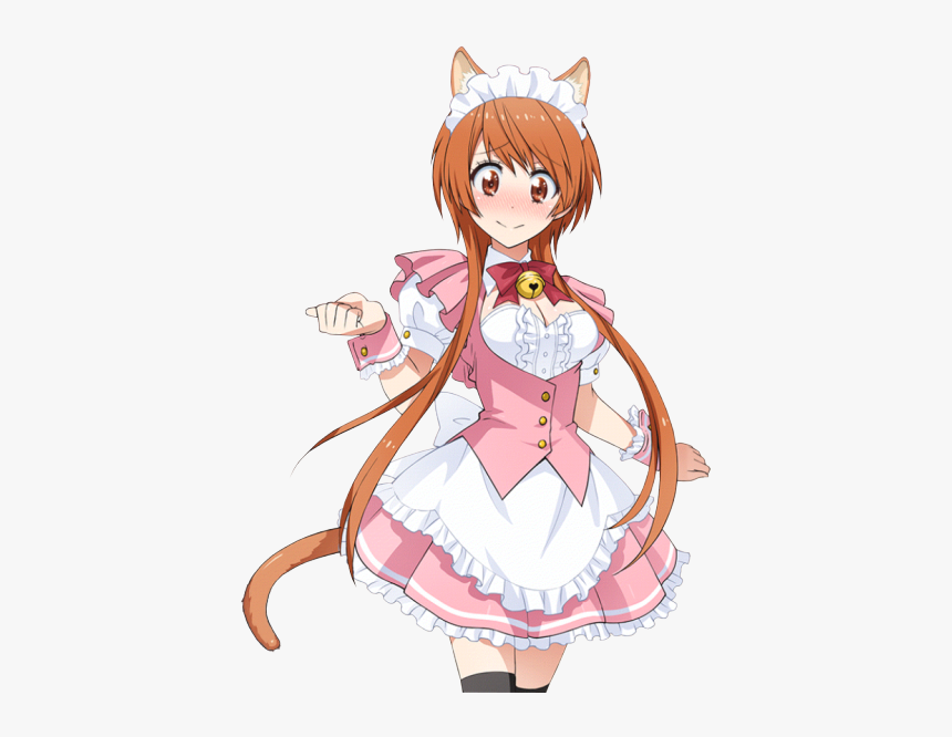 Tachibana Nisekoi, HD Png Download, Free Download