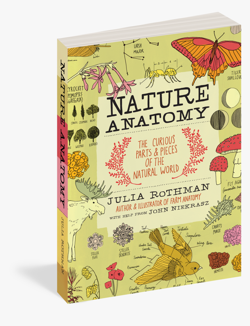 Julia Rothman's Nature Anatomy Flowers, HD Png Download, Free Download