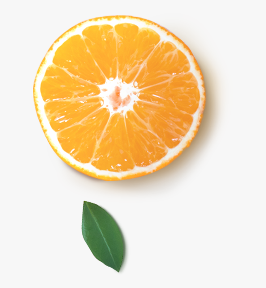 Orange, HD Png Download, Free Download