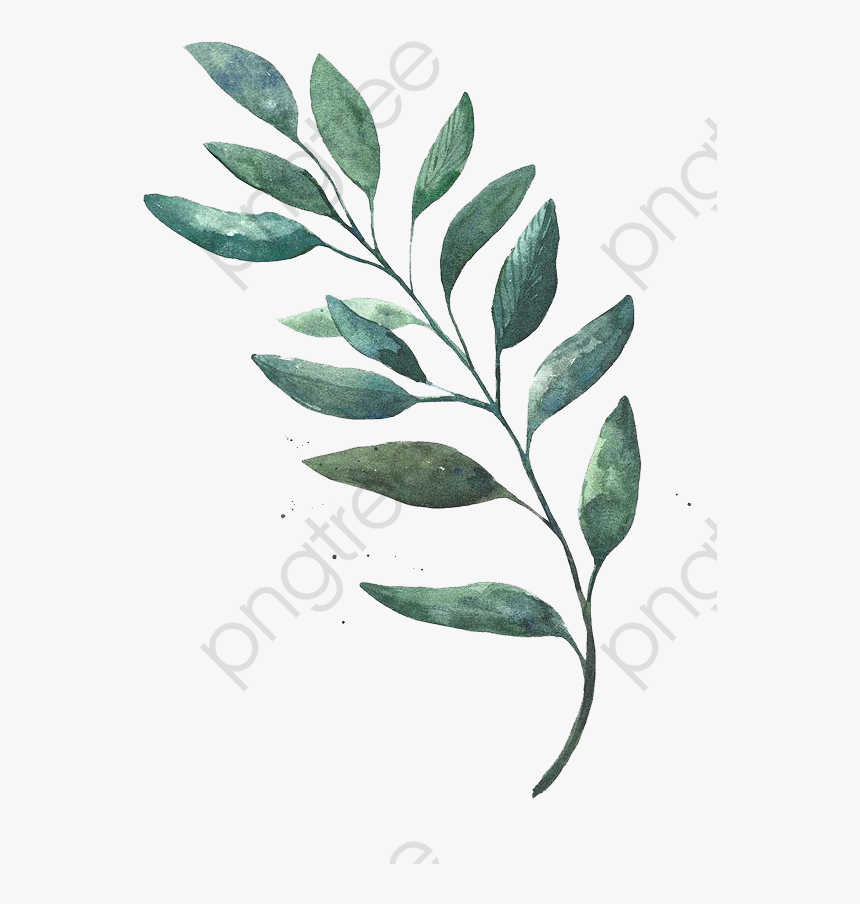 Leaves Clipart Green Leaf Transparent Background - Watercolor Leaves Transparent Background, HD Png Download, Free Download