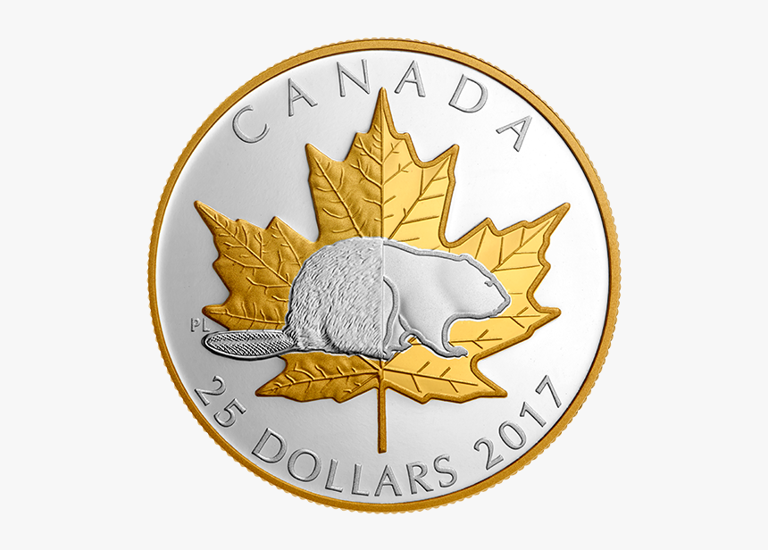 Символ Канады Бобер, HD Png Download, Free Download