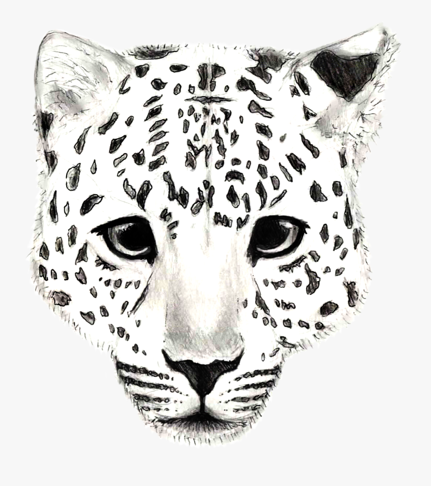 Amur Leopard Drawing - Easy Drawing Of Snow Leopard, HD Png Download