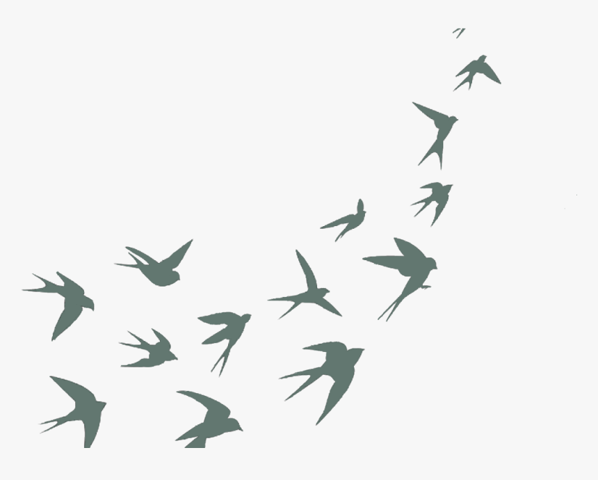 Pattern Black And White Bird, HD Png Download, Free Download