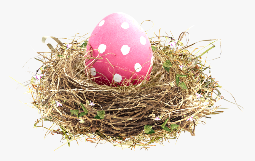 Easter Transprent Png Free Download Egg - Nest, Transparent Png, Free Download
