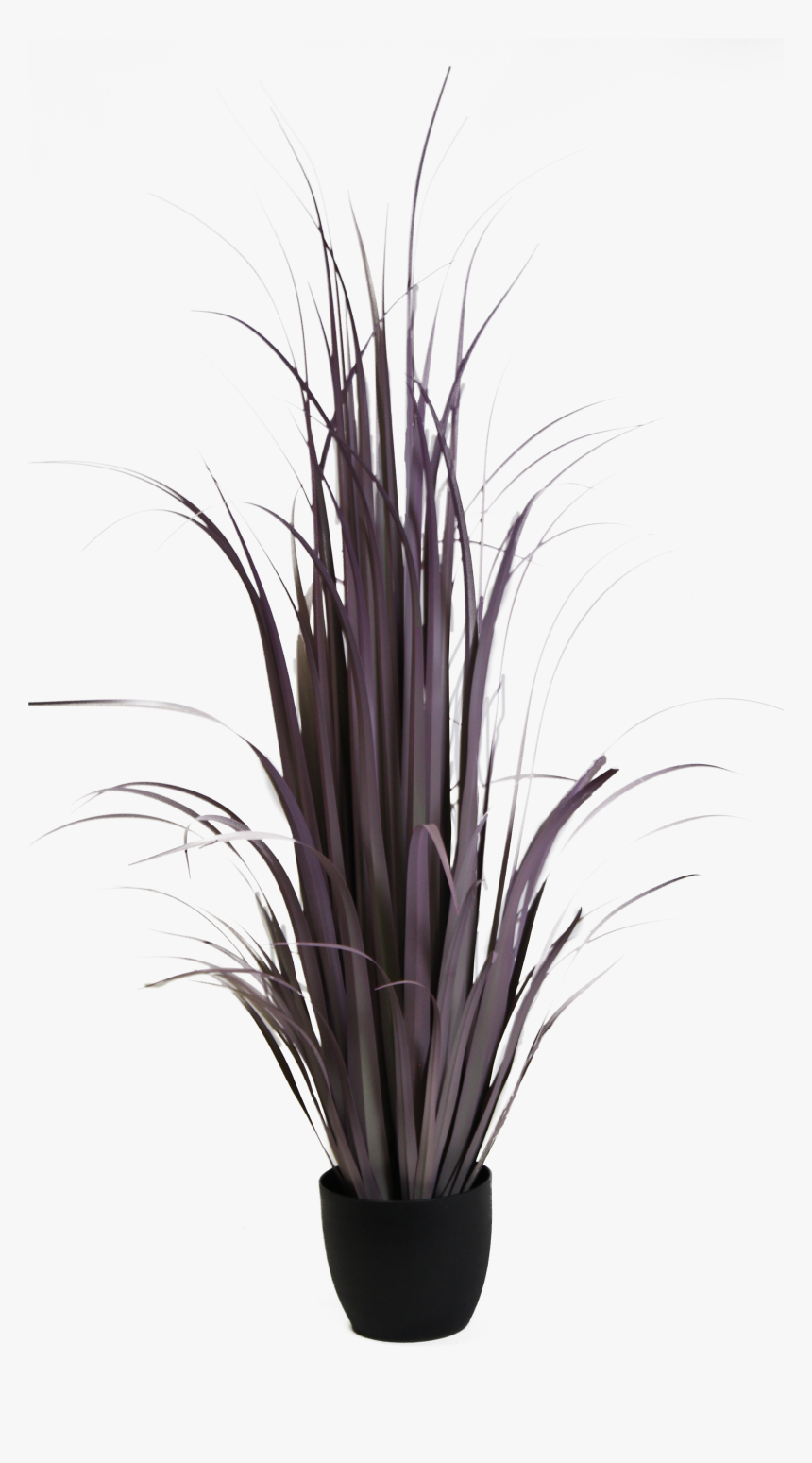 Transparent White Grass Png - Grass, Png Download, Free Download