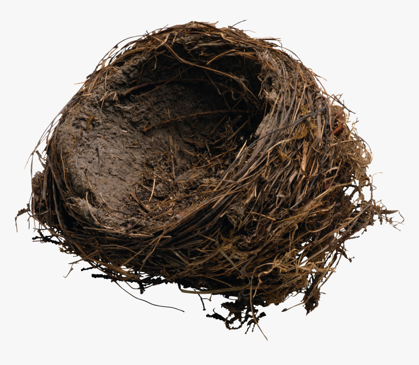 Nest Png, Transparent Png, Free Download