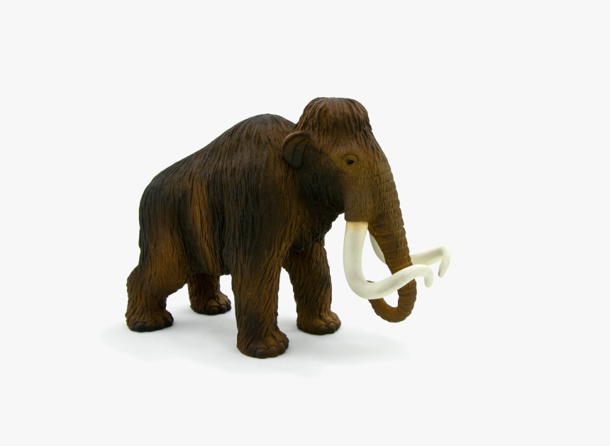 Transparent Mammoth Clipart - Animal Planet Wooly Mammoth, HD Png Download, Free Download