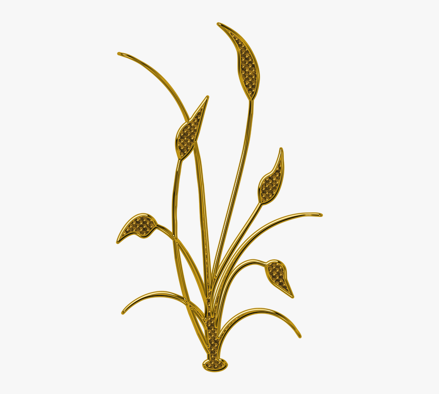 Flora Abstract Shape, Elegant Lillies Design - Illustration, HD Png Download, Free Download