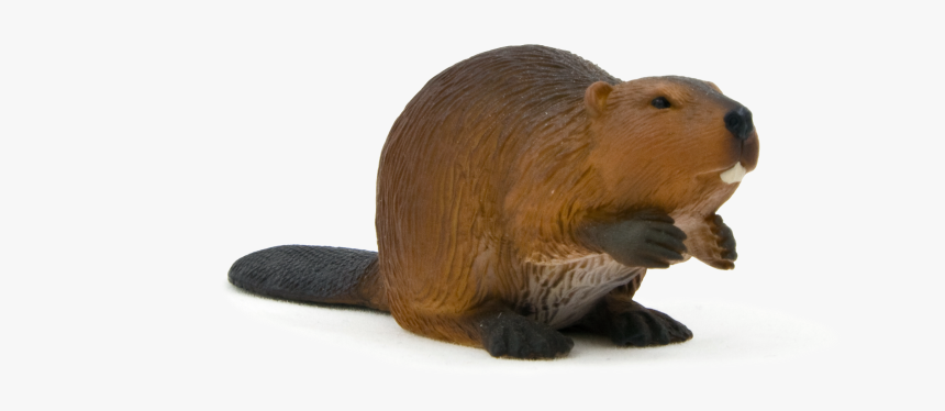 Animal Planet Beaver - اسباب بازی سگ ابی, HD Png Download, Free Download