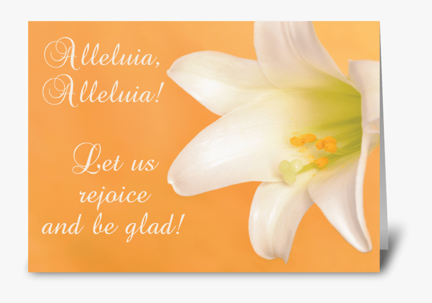 Easter Joy And Blessings Alleluia Lily Greeting Card - Lily, HD Png Download, Free Download