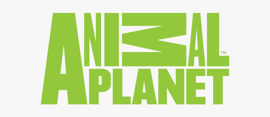 Animal Planet Hd - Animal Planet, HD Png Download, Free Download