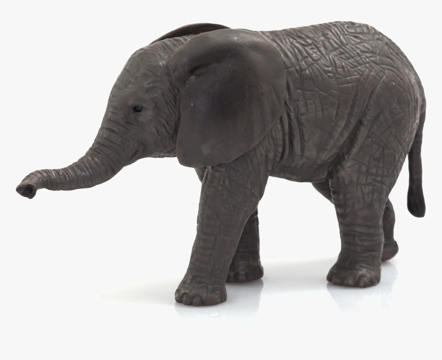 African Elephant Calf , Png Download - Elephant Animal Planet Logo, Transparent Png, Free Download