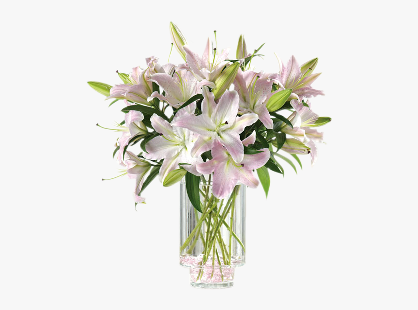 Oriental Lily In Glass Vase, HD Png Download, Free Download