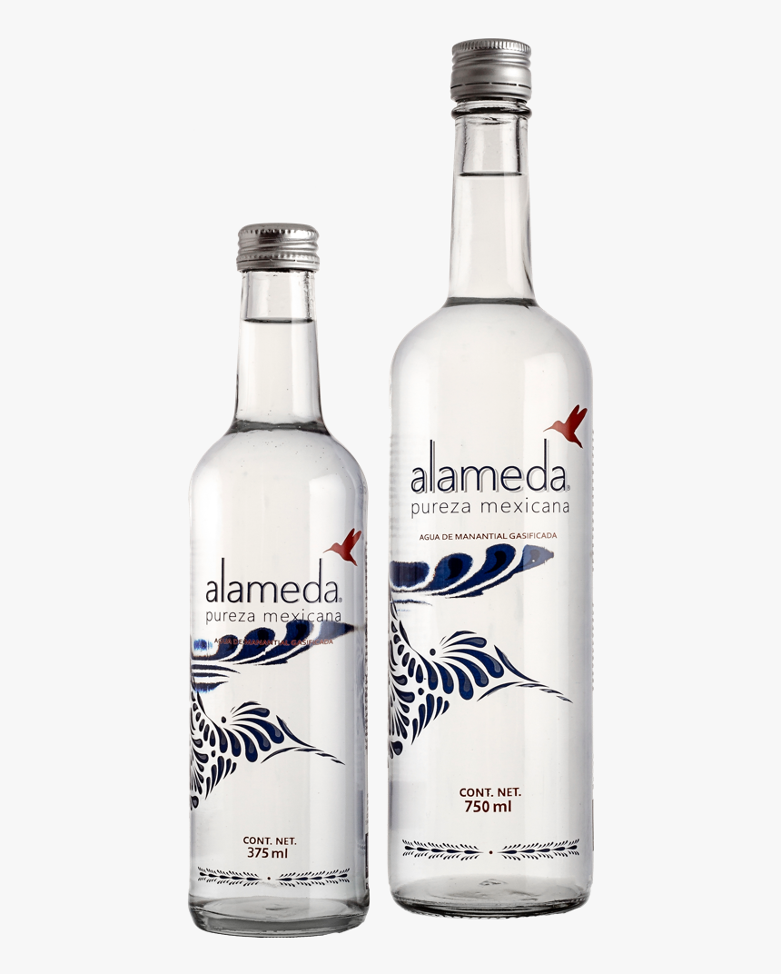 Agua Mineral De Manantial Gasificada - Agua En Botella Mexicana, HD Png Download, Free Download