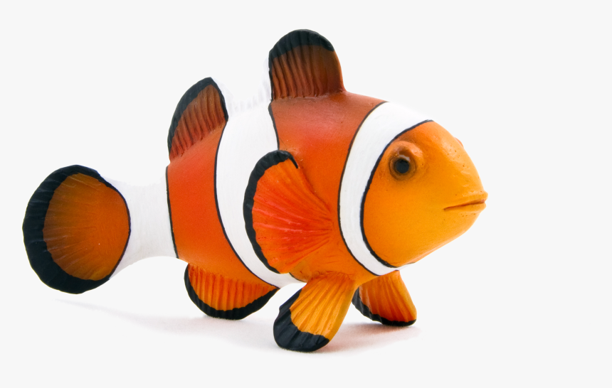 Clown Fish Transparent Background, HD Png Download, Free Download