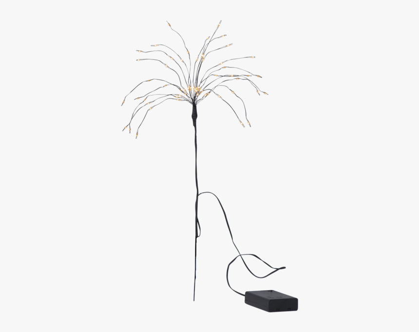 Decorative Twig Firework - Desert Palm, HD Png Download, Free Download