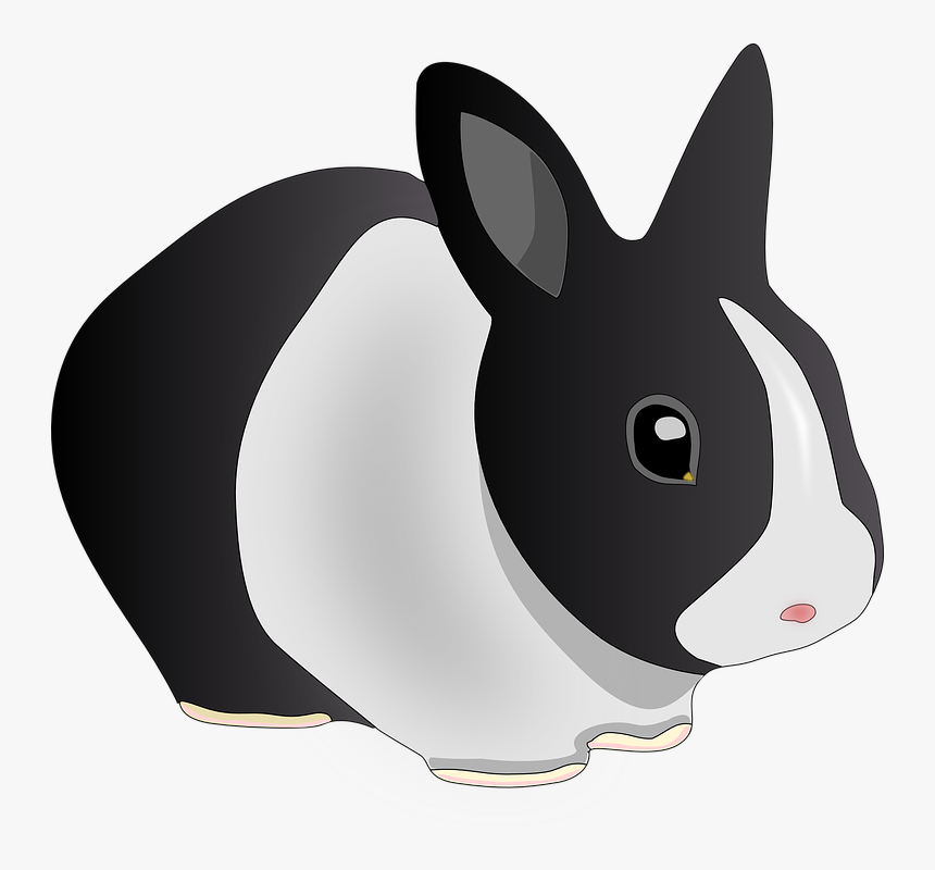 Rabbit, Animal, Black And White, Bunny, Pet, Ears - Rabbit Clip Art, HD Png Download, Free Download