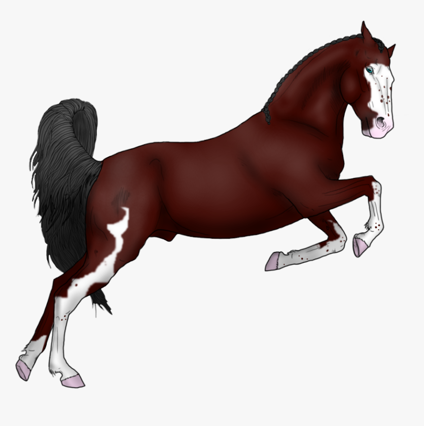 Blood Bay Frame W/ Belton - Stallion, HD Png Download, Free Download