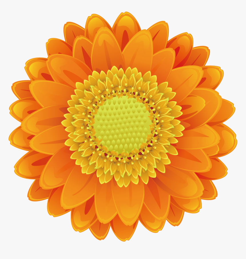 Sunflower Vector Png - Sunflower Cartoon Images Free, Transparent Png, Free Download