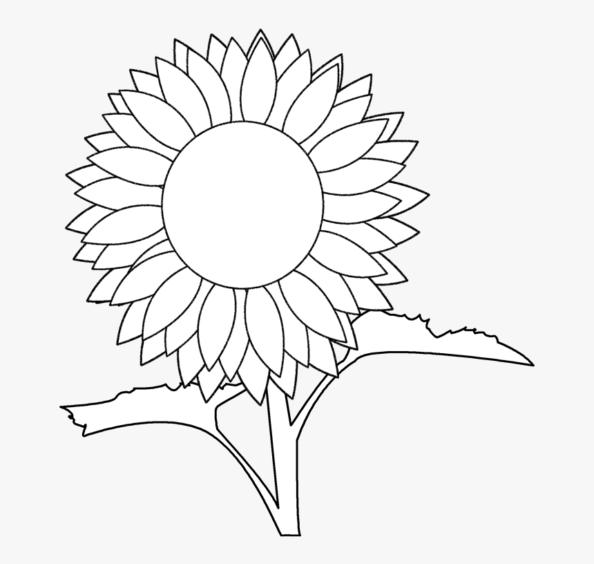 Katie And The Sunflowers - Sunflower Pattern Sunflower Template, HD Png Download, Free Download