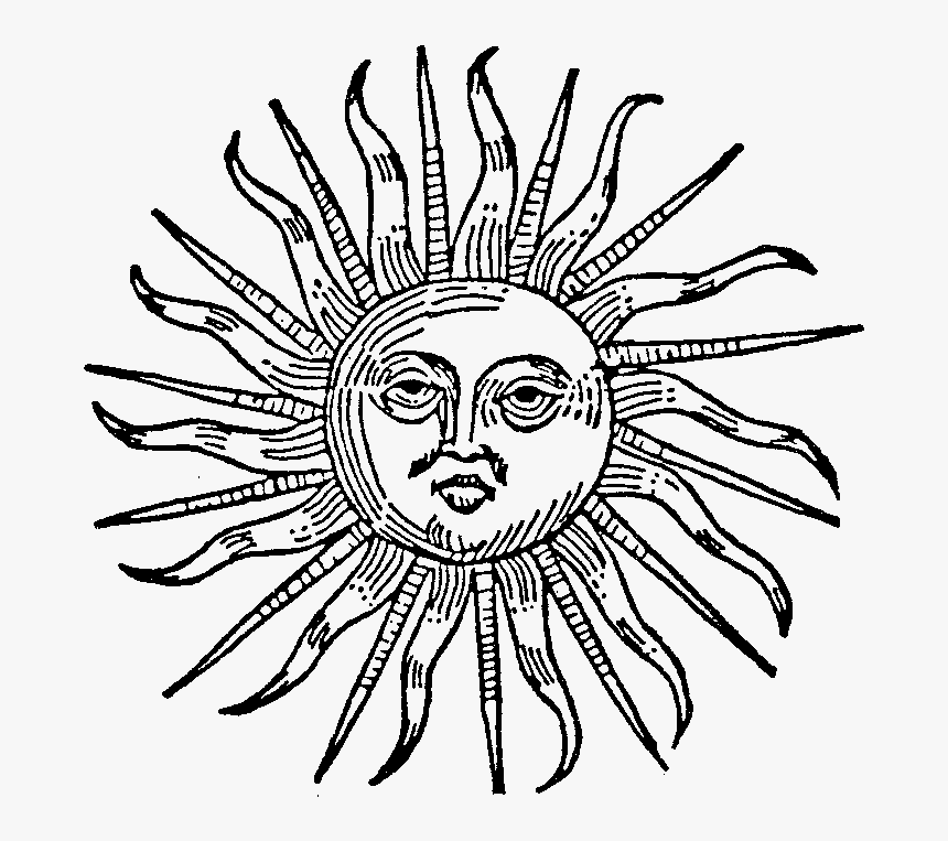 Phoebus Sun Image - Back Of A Sunflower Drawing, HD Png Download, Free Download