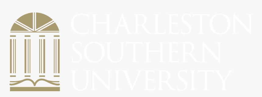 Transparent Strayer University Logo Png - Spiegel Online, Png Download, Free Download