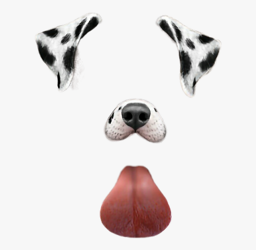 #dog #snapchat #puppy #filter #cool #love #beauty #beautiful - Filtros De Snapchat Perro, HD Png Download, Free Download