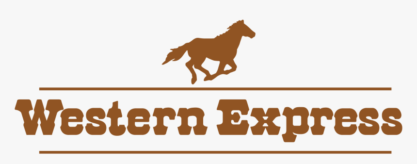 Cowgirl Boots Png, Transparent Png, Free Download