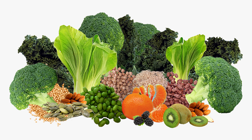 Plant Based Diet Png, Transparent Png, Free Download