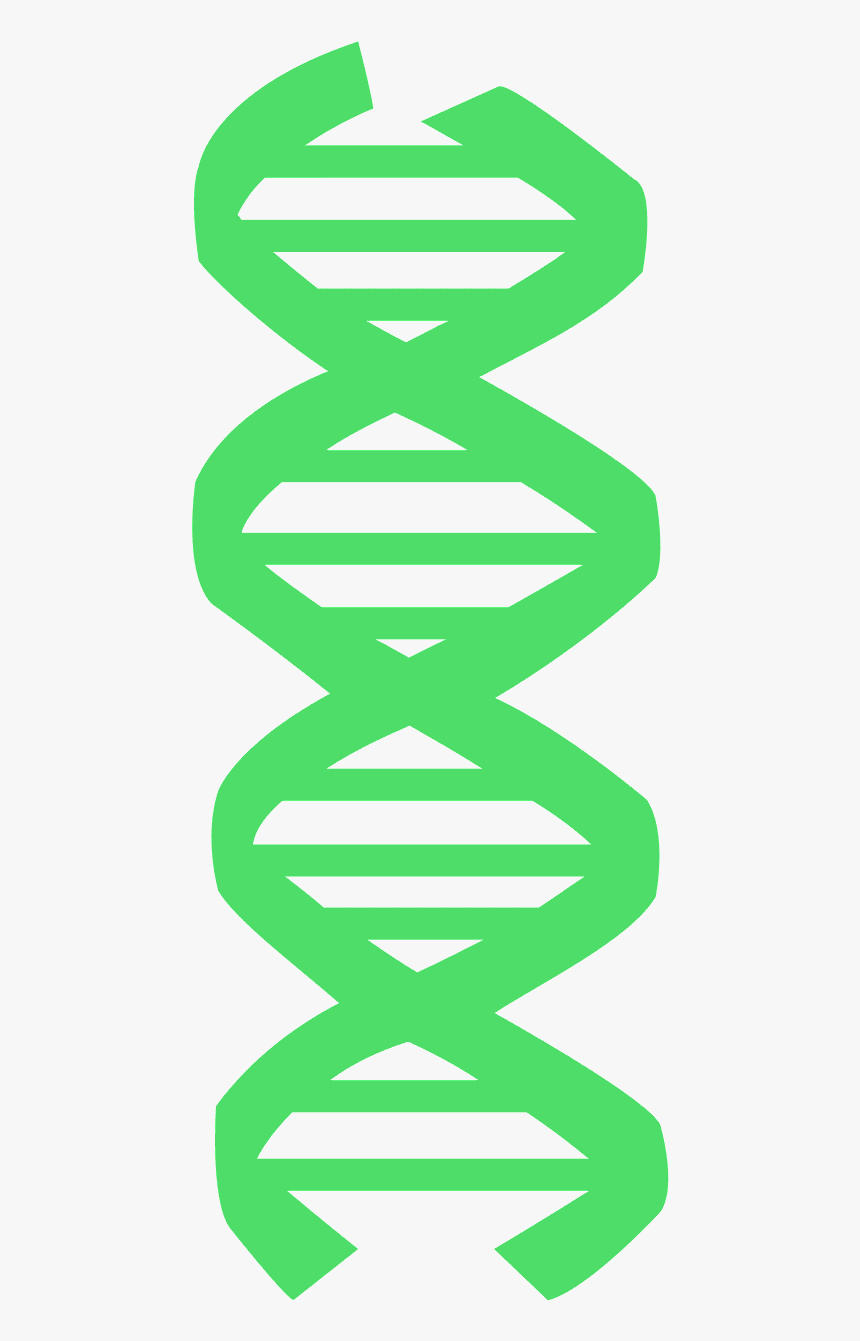 Pink Dna, HD Png Download, Free Download