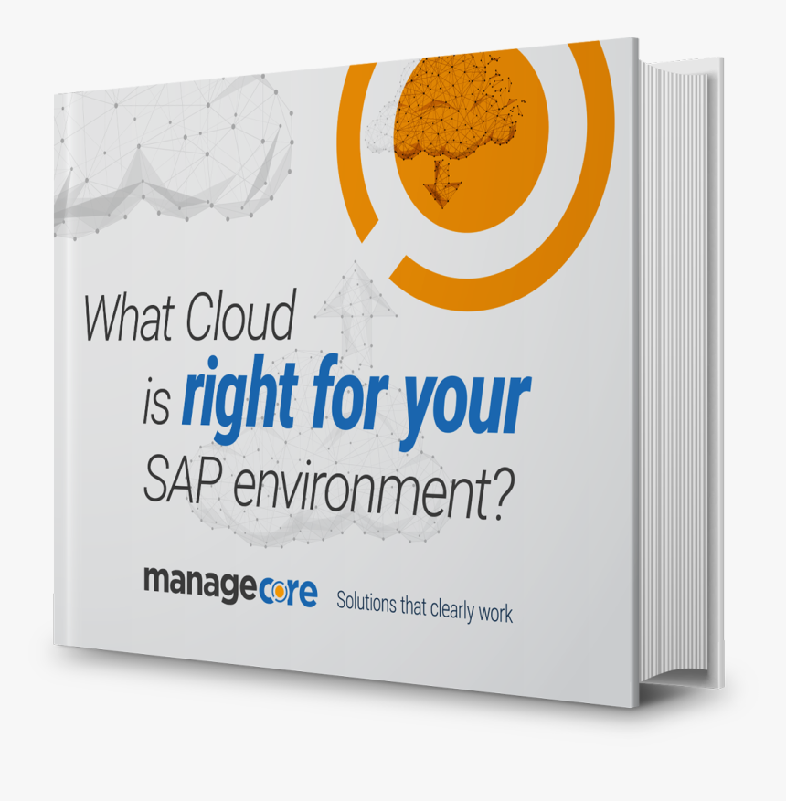 What Cloud Is Right For Your Sap Environment - Graphic Design, HD Png Download, Free Download