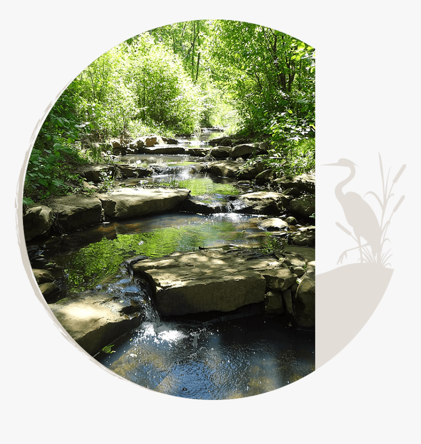 Stream Restoration - Reflection, HD Png Download, Free Download