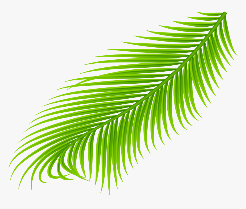 Clip Art Palm Branch Clipart, HD Png Download, Free Download