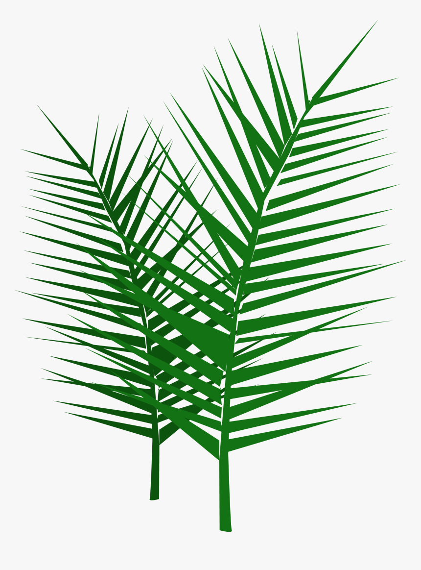 Palm Sunday Palm Branch, HD Png Download, Free Download