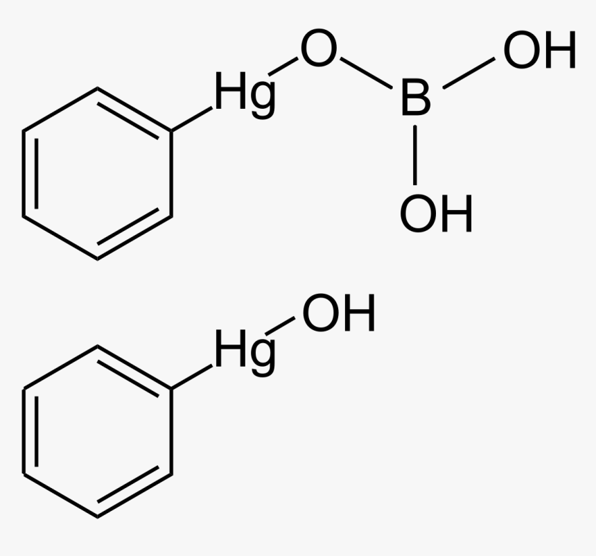 1 '- Acetoxychavicol Acetate, HD Png Download, Free Download