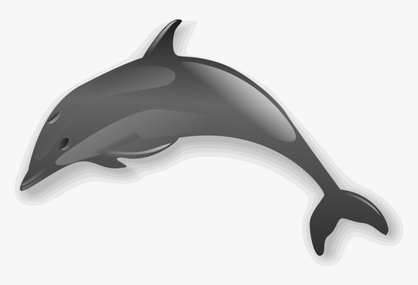 Short Beaked Common Dolphin,whales Dolphins And Porpoises,dolphin - Dolphin Free Clipart, HD Png Download, Free Download