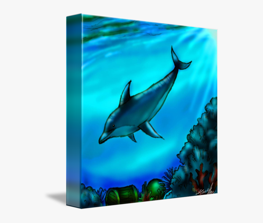Collection Of Free Dolphin Drawing Underwater Download - Common Bottlenose Dolphin, HD Png Download, Free Download