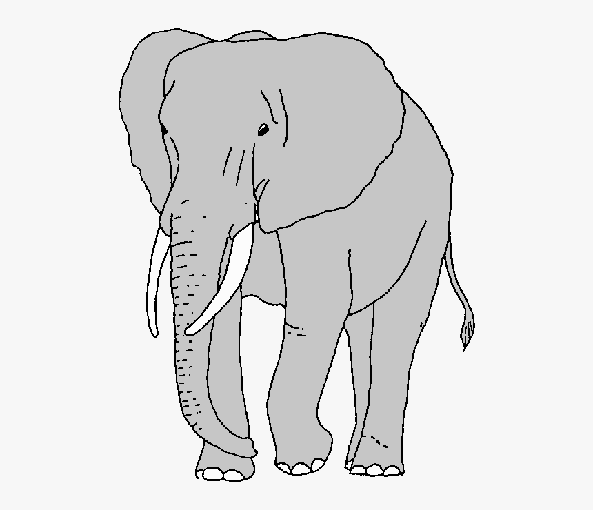 Elephant African Clipart Collection Large Transparent - African Elephant Clipart, HD Png Download, Free Download