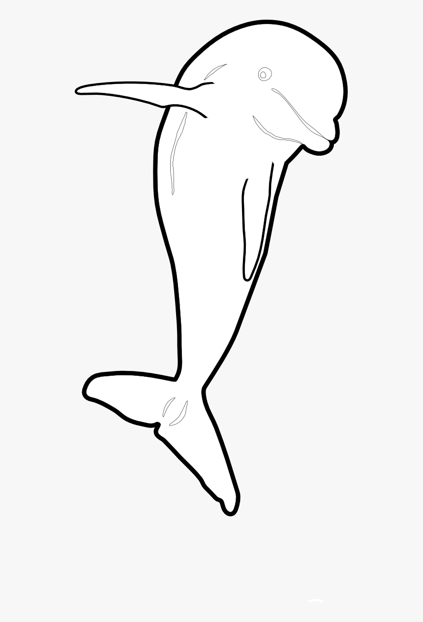 Dolphin Jumping Front Nmmp Dolphin Black White Line - Illustration, HD Png Download, Free Download