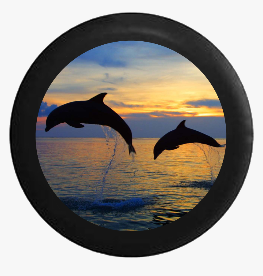 Two Dolphins Jumping Sunset Sunrise Behind Sky Rv Camper - Lovina Beach Bali Dolphins, HD Png Download, Free Download