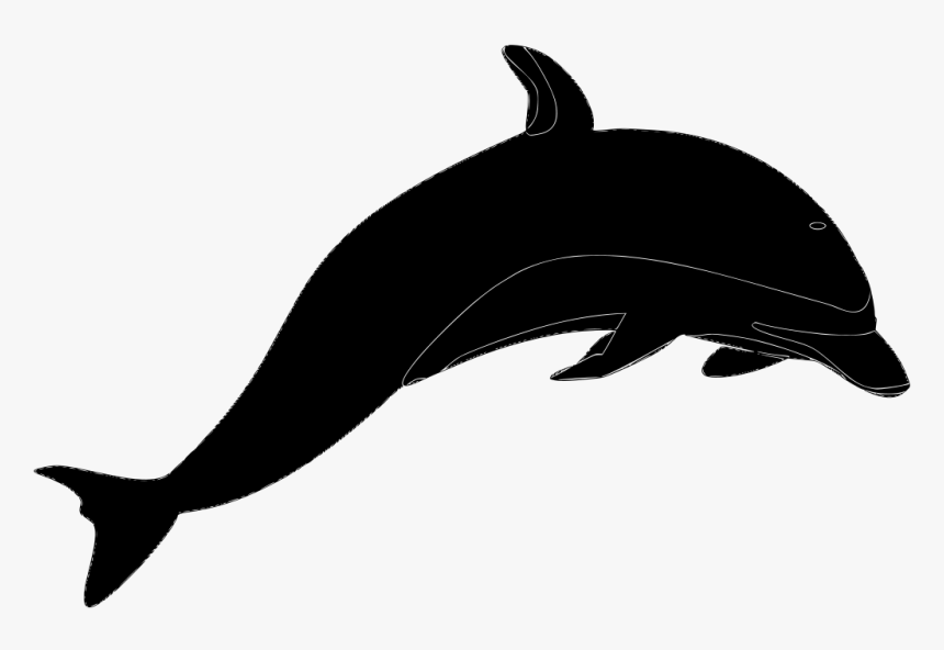 Free Svg Dolphin, HD Png Download, Free Download