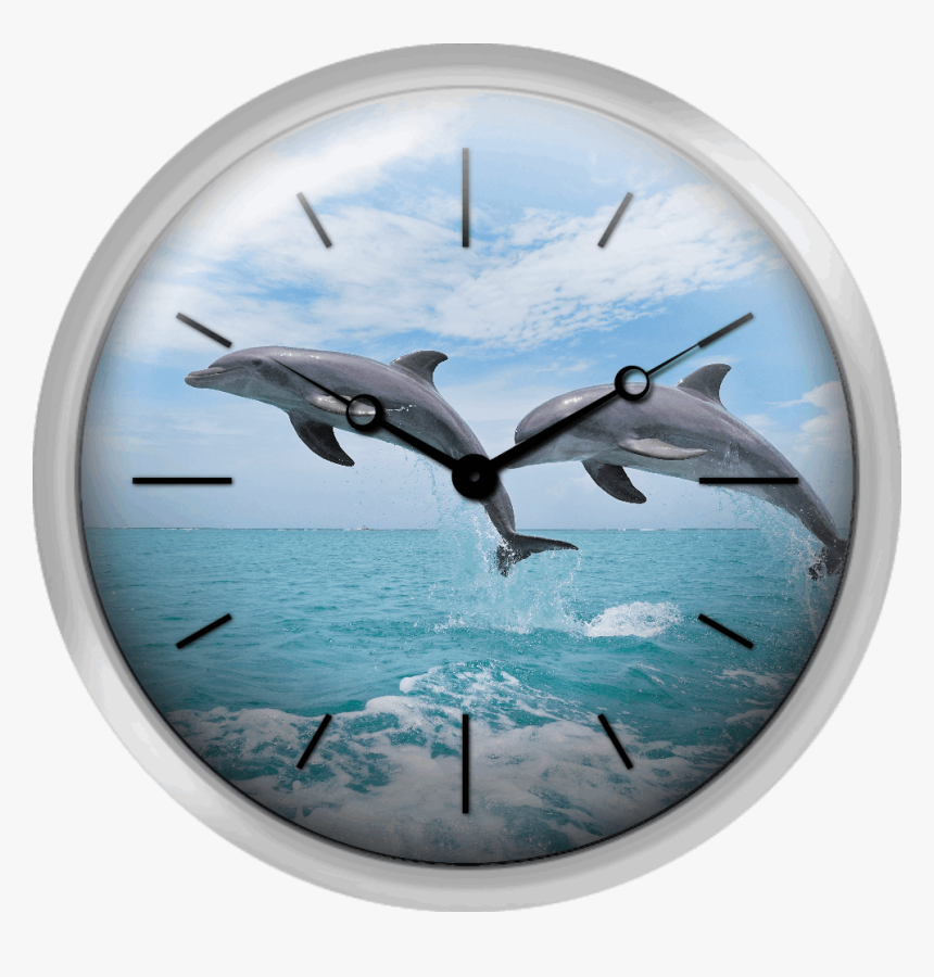 Common Bottlenose Dolphins Jumping In Air Caribbean - Wall Clock, HD Png Download, Free Download