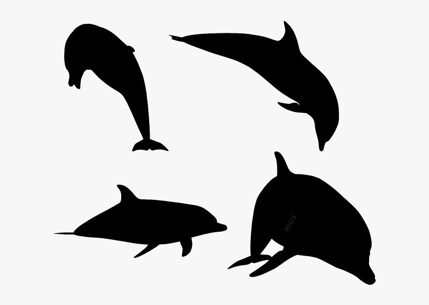 Fish Jumping Png Transparent Images - Dolphin, Png Download, Free Download