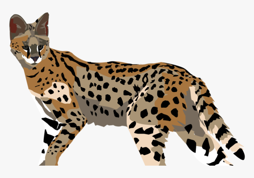 Ocelot - Cheetah, HD Png Download, Free Download