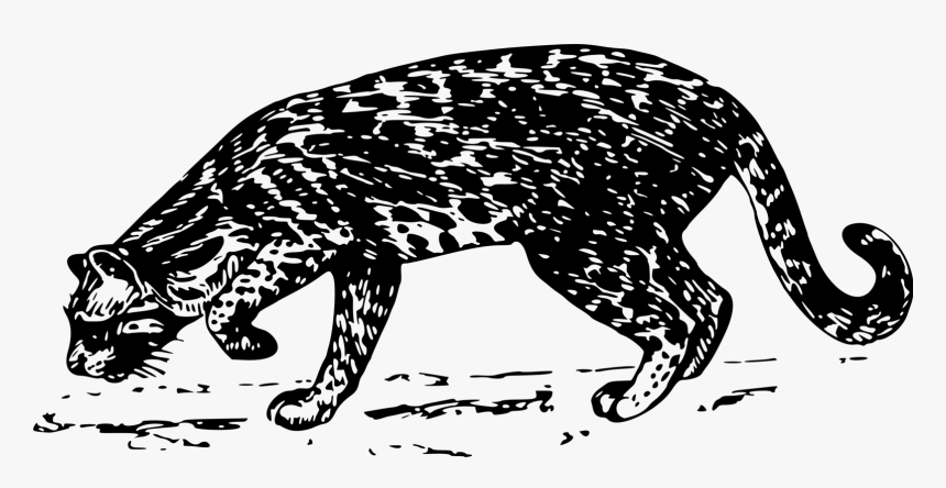 Art,monochrome Photography,carnivoran - Jaguar Warriors Clip Art, HD Png Download, Free Download