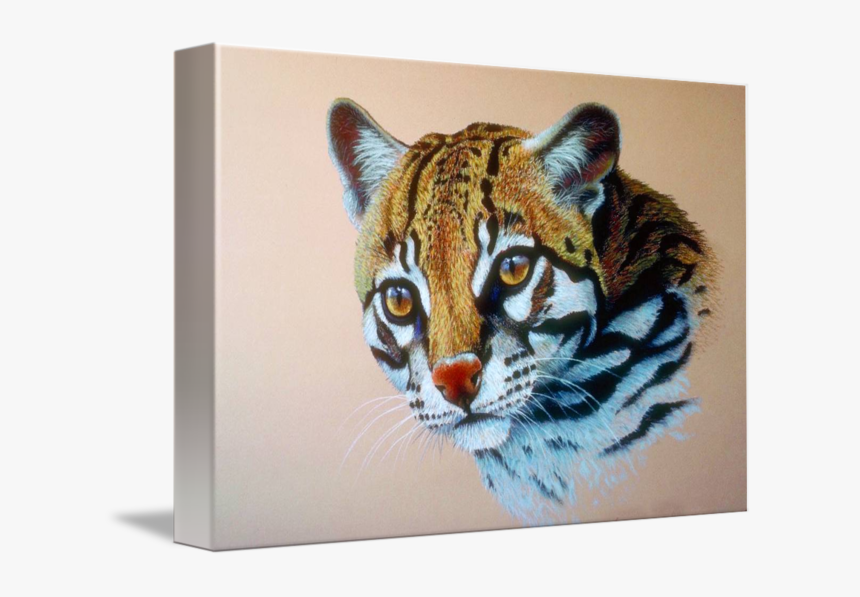 Clip Art Ocelot Images - Cat, HD Png Download, Free Download